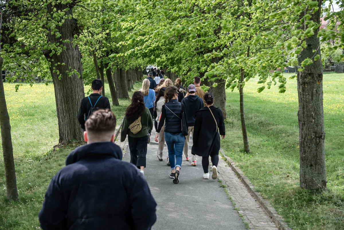 The group walking a tree-lined path in spring